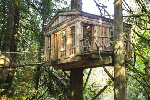 treehouse point issaquah